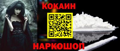 индика Кингисепп