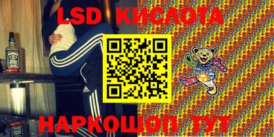 индика Кингисепп