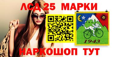 индика Кингисепп