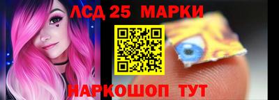индика Кингисепп