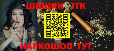 индика Кингисепп