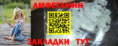 индика Кингисепп
