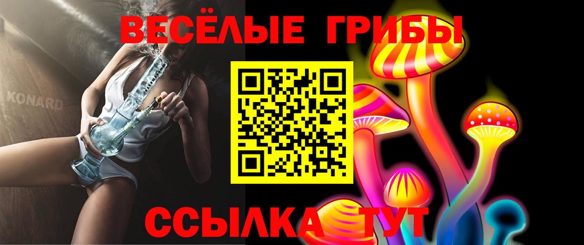 Псилоцибиновые грибы MAGIC MUSHROOMS  Вход с VPN  Тосно  Псилоцибиновые грибы Cubensis 