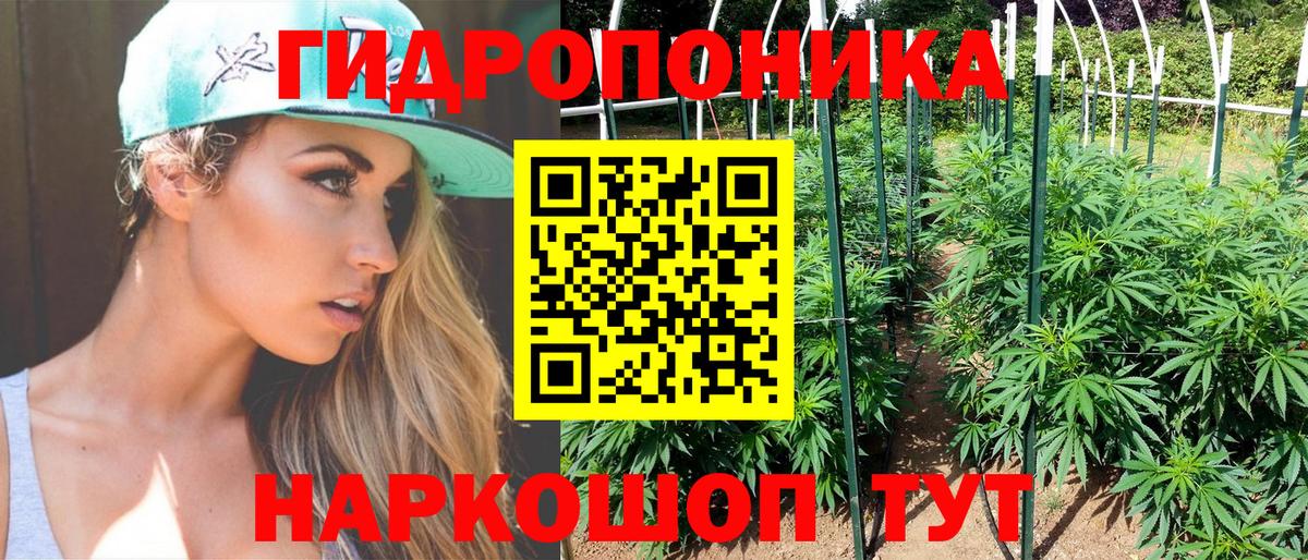 МАРИХУАНА план  Марихуана гибрид  Бошки Шишки семена  Канабис VHQ  Тосно  Вход с VPN 